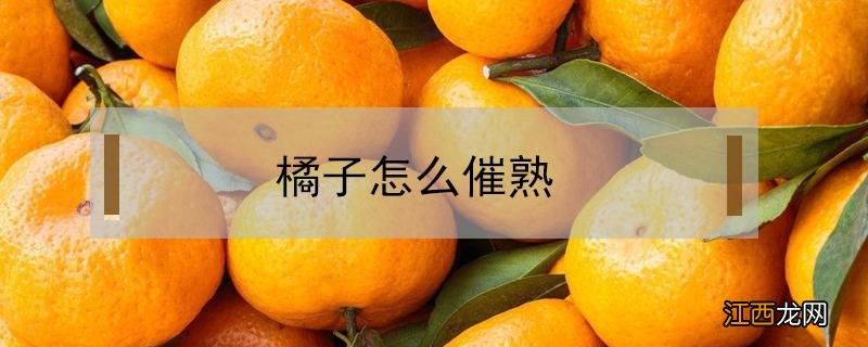 橘子怎样催熟 橘子怎么催熟