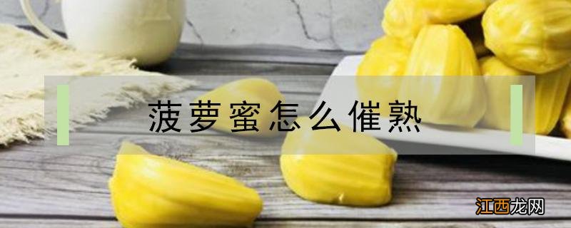 菠萝蜜怎么催熟比较快 菠萝蜜怎么催熟