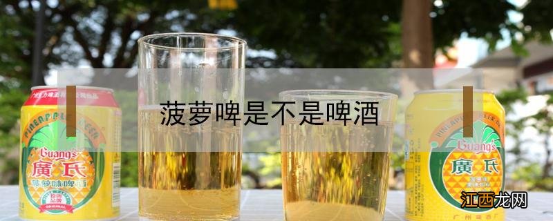 菠萝啤是不是啤酒 菠萝啤是不是啤酒小孩能不能喝