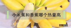 香蕉和大米哪个热量高 小米蕉和香蕉哪个热量高