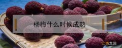 杨梅什么时候成熟 东魁杨梅什么时候成熟