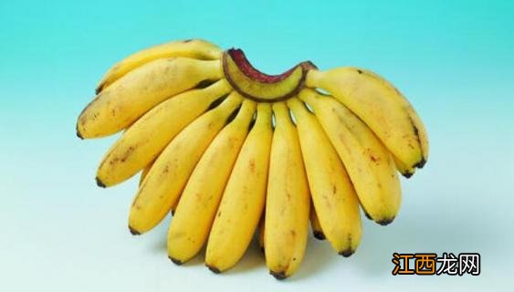 糯米蕉和香蕉的区别 糯米香蕉和香蕉有什么区别