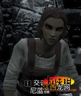 《上古卷轴5：天际》结婚指南-51位佳丽推荐