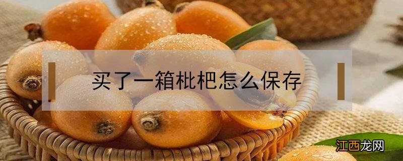 买了一箱枇杷怎么保存 枇杷买回家怎么保存