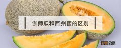 伽师瓜和西州蜜的区别 西州蜜瓜和波斯蜜瓜区别