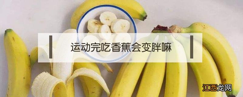 运动完吃香蕉会变胖嘛 运动完吃香蕉影响减肥吗