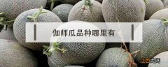 伽师瓜品种哪里有 伽师瓜是什么地方产的