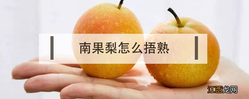 南果梨没熟透有什么办法 南果梨怎么捂熟