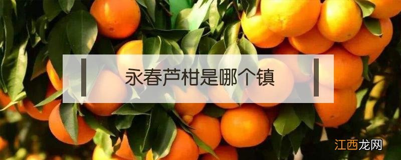 永春芦柑是哪个镇 永春芦柑哪个镇比较多