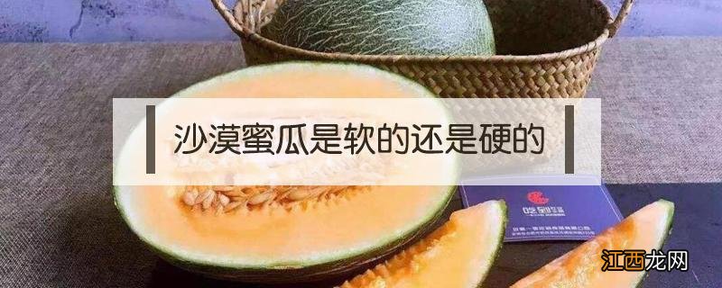 沙漠蜜瓜和哈密瓜有什么区别 沙漠蜜瓜是软的还是硬的