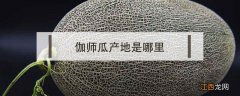 伽师县的伽师瓜 伽师瓜产地是哪里