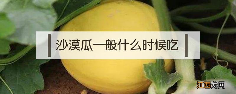 沙漠瓜一般什么时候吃 沙漠瓜可以放几天