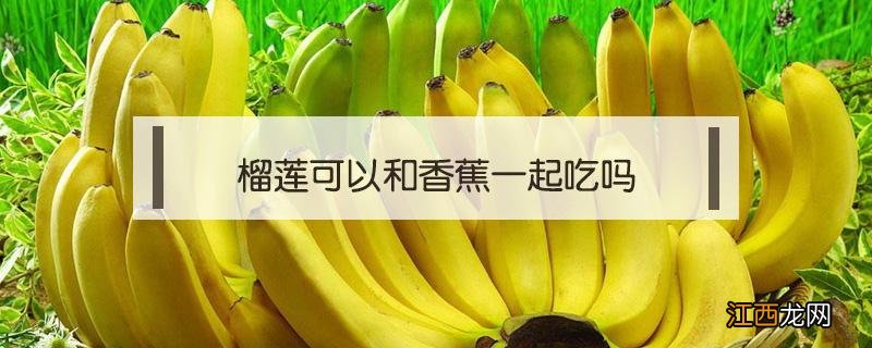 榴莲可以和香蕉一起吃吗 榴莲能和香蕉一起吃吗