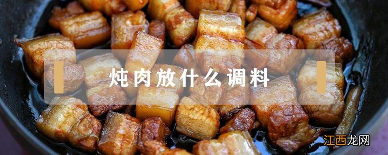 给宝宝炖肉放什么调料 炖肉放什么调料