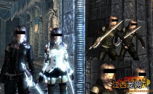 《上古卷轴5:天际》自己当护卫 上古卷轴5天际侍卫