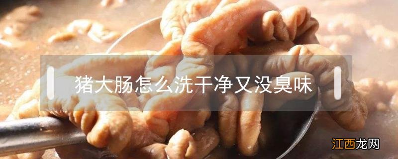 猪大肠怎么洗干净又没臭味 猪大肠怎么洗没有味