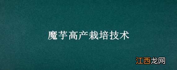 魔芋高产栽培技术视频 魔芋高产栽培技术