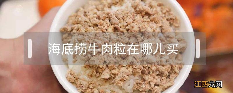 海底捞牛肉粒在哪里买 海底捞牛肉粒在哪儿买