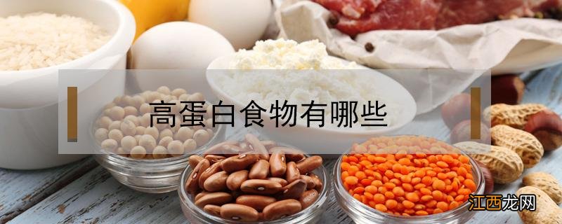 高蛋白食物有哪些? 高脂肪的食物有哪些