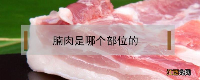 腩肉是哪个部位的 腩肉是什么部位