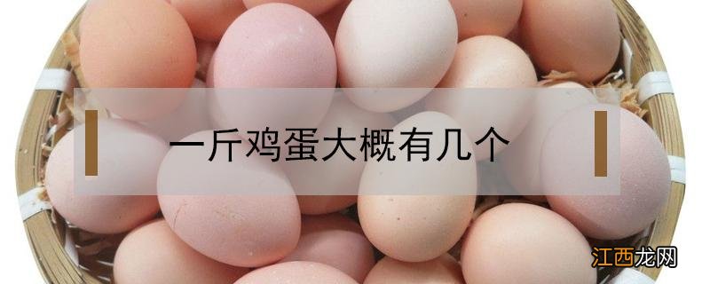 一斤鸡蛋大概有几个 一斤鸡蛋大概有几个蛋