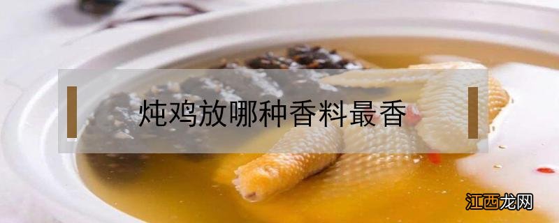 炖鸡放哪种香料最香 炖鸡用什么调料最香