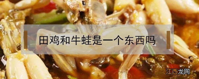 田鸡和牛蛙是一个东西吗 牛蛙跟田鸡是不是一个东西