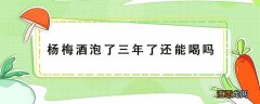 杨梅酒泡了三年了还能喝吗 杨梅酒泡了一年了还能喝吗