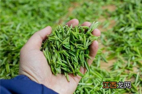 毛尖是绿茶还是红茶 信阳毛尖是绿茶还是红茶