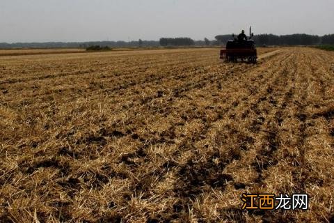 一亩地可以贷款多少 农村一亩地能贷款多少