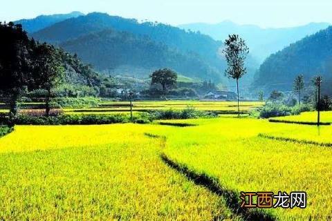 农村合作社靠什么盈利，农村合作社是什么性质