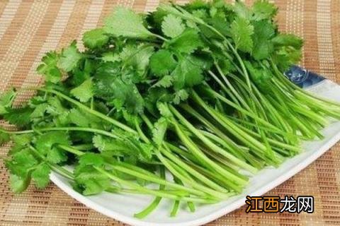 香菜可以生吃吗？有细菌吗 生菜可以生吃吗有没有细菌