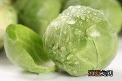 卷心菜榨汁需要煮熟吗 卷心菜榨汁要煮熟吗?