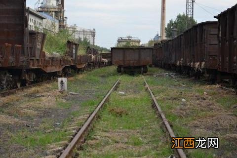 养鸡场能不能建在村庄 如何修建养鸡场