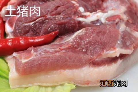 土猪肉和饲料猪肉的区别 土猪肉和饲养猪肉的区别