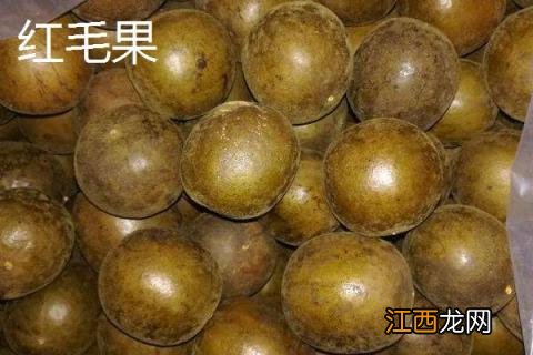 金色罗汉果和褐色罗汉果区别 罗汉果有几种品种