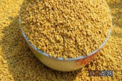 鱼食料可以喂鸡吗 鸡饲料可以喂鱼吗