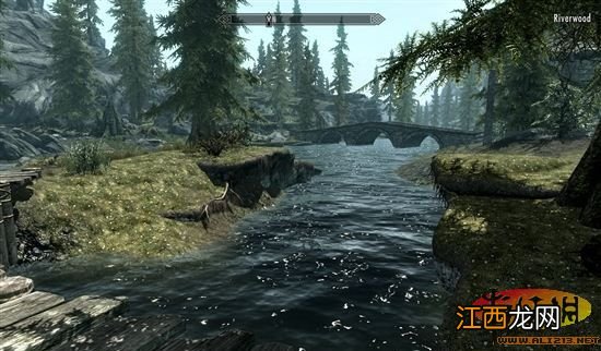 《上古卷轴5：天际》PC版设置及调整 上古卷轴5天际怎么设置简体中文