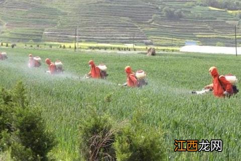 铜制剂杀菌剂有哪些 铜制剂杀菌剂大全