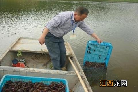 各种海鲜养殖方法，水温控制很重要 海鲜养殖水温多少