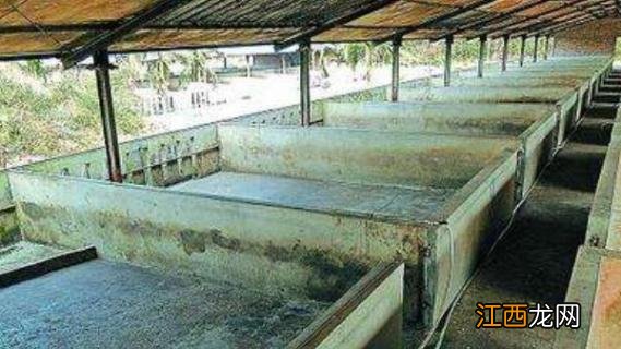 养猪场污水处理 养猪场废水怎么处理