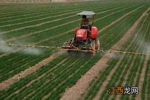 小麦打除草剂时间，能和尿素同时使用吗