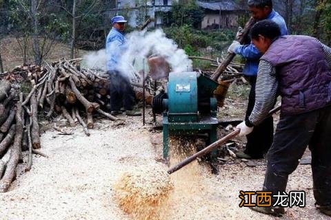 香菇的种植方法及原料 香菇种植需要什么原料