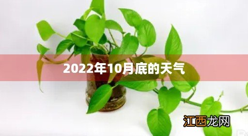 2020年10月份天气 2022年10月底的天气