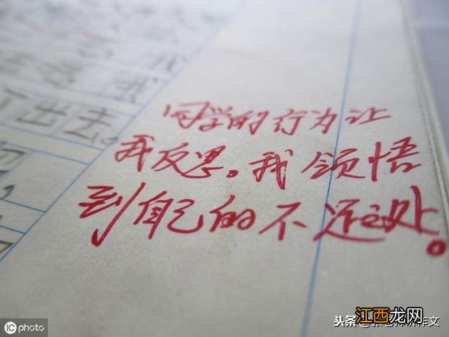 时宜的日记片段