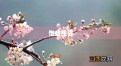 饱食终日粒粒可餐的意思 饱食终日