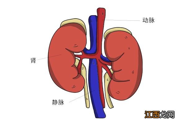 手肿了怎么消肿最快 手肿胀怎么办