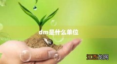 km是什么单位 dm是什么单位