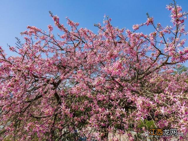 都是命图片文字 都是命图片