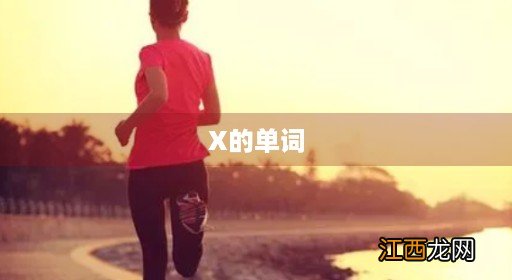 x的单词100个 X的单词